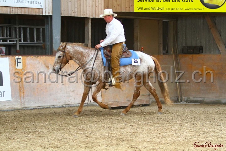 31-ApHC OWP_020.jpg